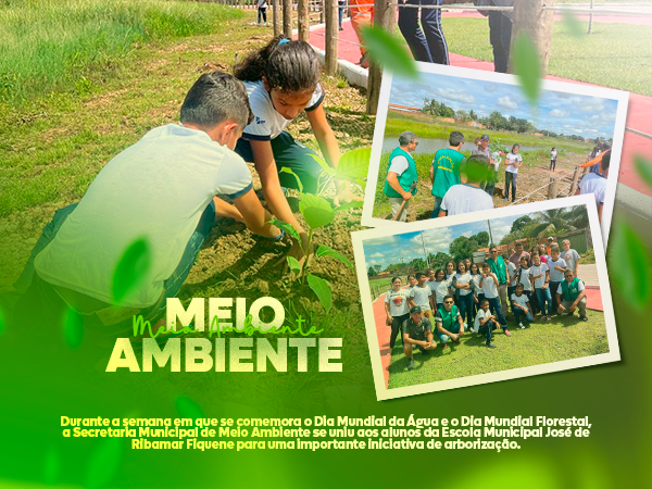 Vila Nova dos Martírios MA: Preservar o meio ambiente é responsabilidade de todos nós!